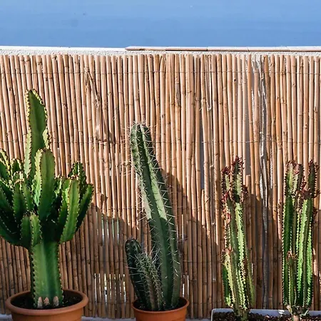 Oceanview Boutique House, 125 Sqm, Parking, Sunset Rooftop Costa Adeje (Tenerife)